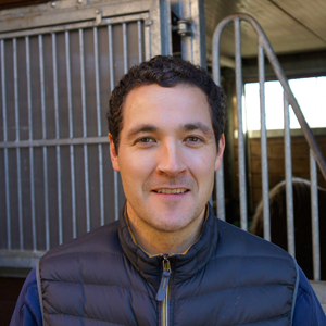 Dr. Stefan Gesell-May, Fachtierarzt für Pferde & Augenheilkunde
