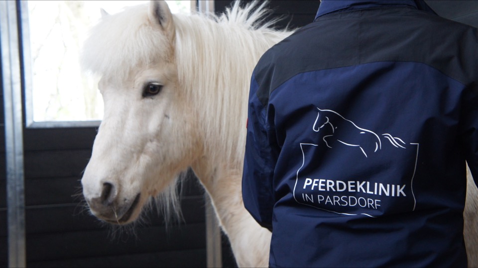 Beitragsbild Besuchszeiten für Tierbesitzer